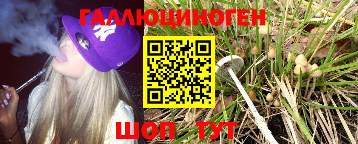 Галлюциногенные грибы Cubensis Новоуральск